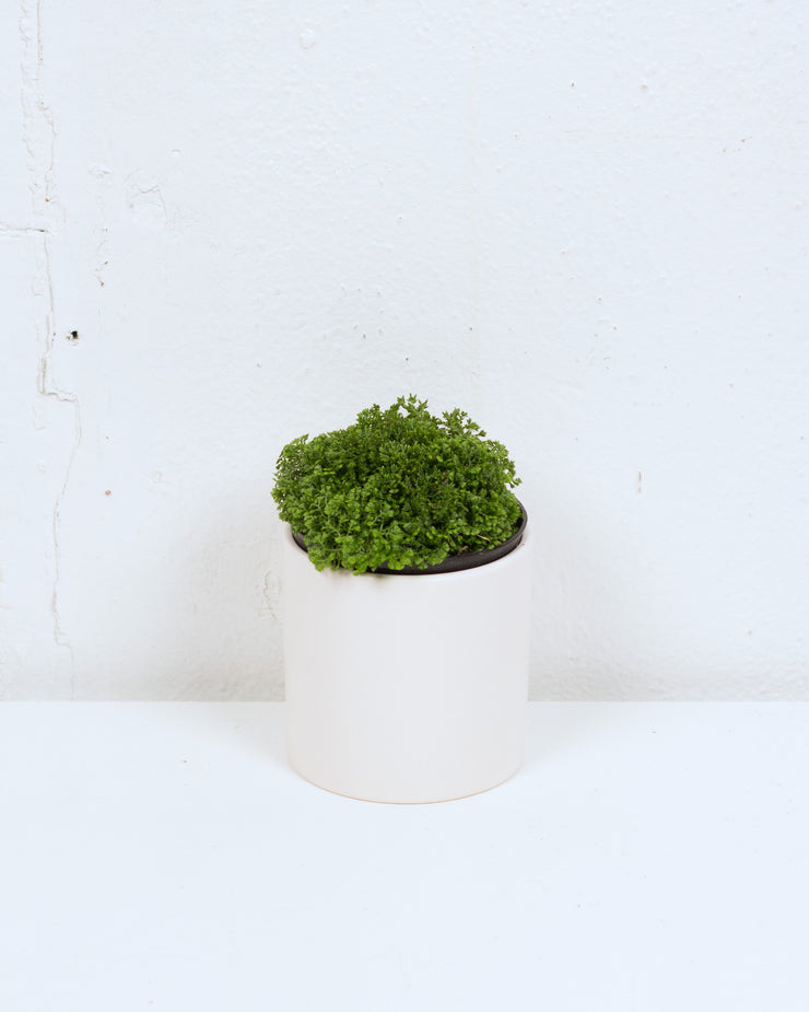 04" CLUB MOSS GREEN
